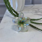 Accessories Zaria dame hårklemme AU66 Accessories Green