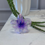 Accessories Zaria dame hårklemme AU66 Accessories Purple