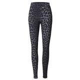 Liberté LIBERTÉ dame leggings ALMA FLEECE Leggins DARK GREY LEO