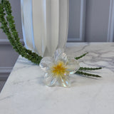 Accessories Zaria dame hårklemme AU66 Accessories Yellow